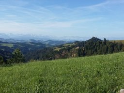 emmental 20194.5
